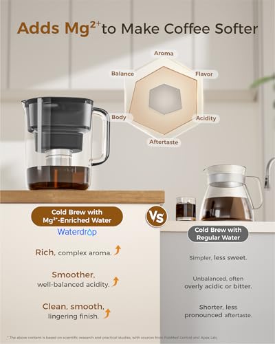 Image of Waterdrop PT-10 Cold Brew Coffee Maker with 1 Magnesium Water Filter for Well-Balanced Acidity, Unlocks Aroma, BPA-Free Cold Brew Pitcher, Stainless Steel Filter for Iced Coffee, Tea, Lemonade, Black