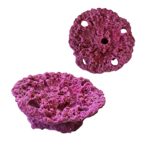 Ocean Aquaria 5 Hole Acropora Coral Plate Frag Rack/Rock for Live Coral Plug Ons for Reef Aquariums...