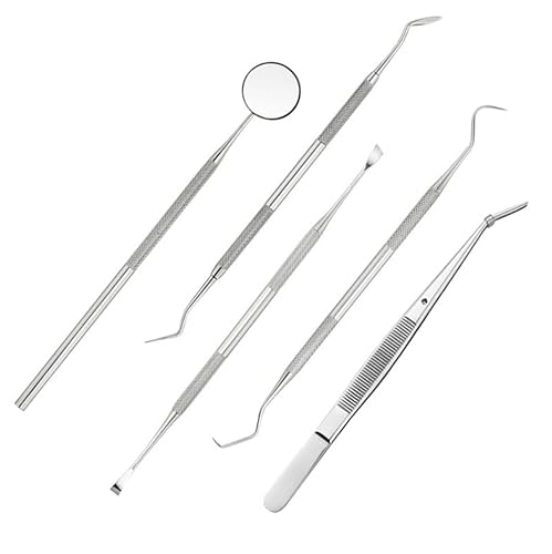 AGGICE Kit de herramientas dentales juego profesional de limpieza de dientes para eliminación efectiva de placa, limpiador de sarro, escalador de