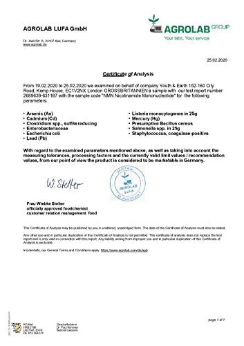 NMN Nicotinamida Mononucleótida Pura En Polvo – NMN Sublingual de Acción Rápida - Potenciador de NAD+ - Suplemento Anti-edad y Antioxidante Potente Certificado - Youth & Earth (10g)