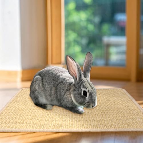 Hmxpls 2 peças de tapete para arranhar coelho, almofada de sisal natural para gaiola de animais de e