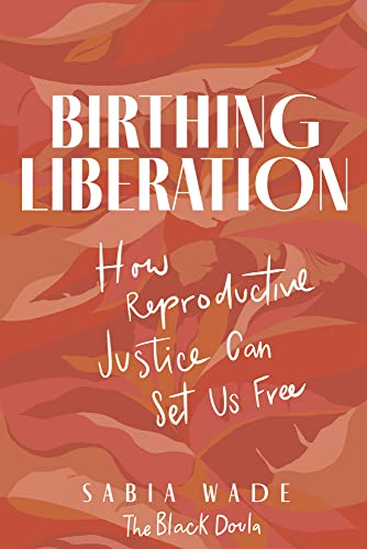 Birthing Liberation view 2