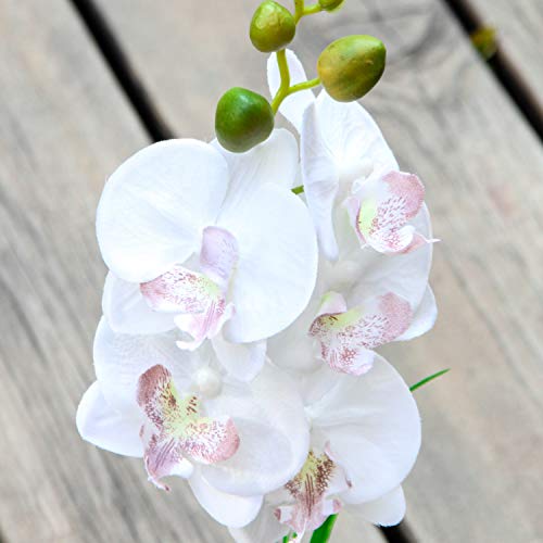 Jusdreen Artificial Flower Bonsai With Vase Vivid Orchid Flower Arrangement Phalaenopsis Flowers Pot For Home Office Décor Table Centerpiece House Decorations(Ceramic Pot/White Orchid) #TOP1