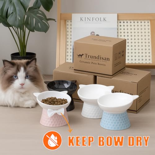 Image of Ceramic Raised Cat Bowl with Stand and Bow Tie, Tilted Elevated Anti-Vomit Cat Dish for Whisker Relief, Microwave & Dishwasher Safe, Cute Pet Food Bowl for Cats and Small Dogs