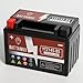 Produktbild Battanux YTZ14S-BS Batterie & Motorradbatterie, Versiegelte SLA/AGM 12V11,2Ah ATV/UTV/Schneemobil/Motorrad Batterie Wartungsfrei & Keine Werkzeuge für die Installation & Fortgeschrittene Technologie