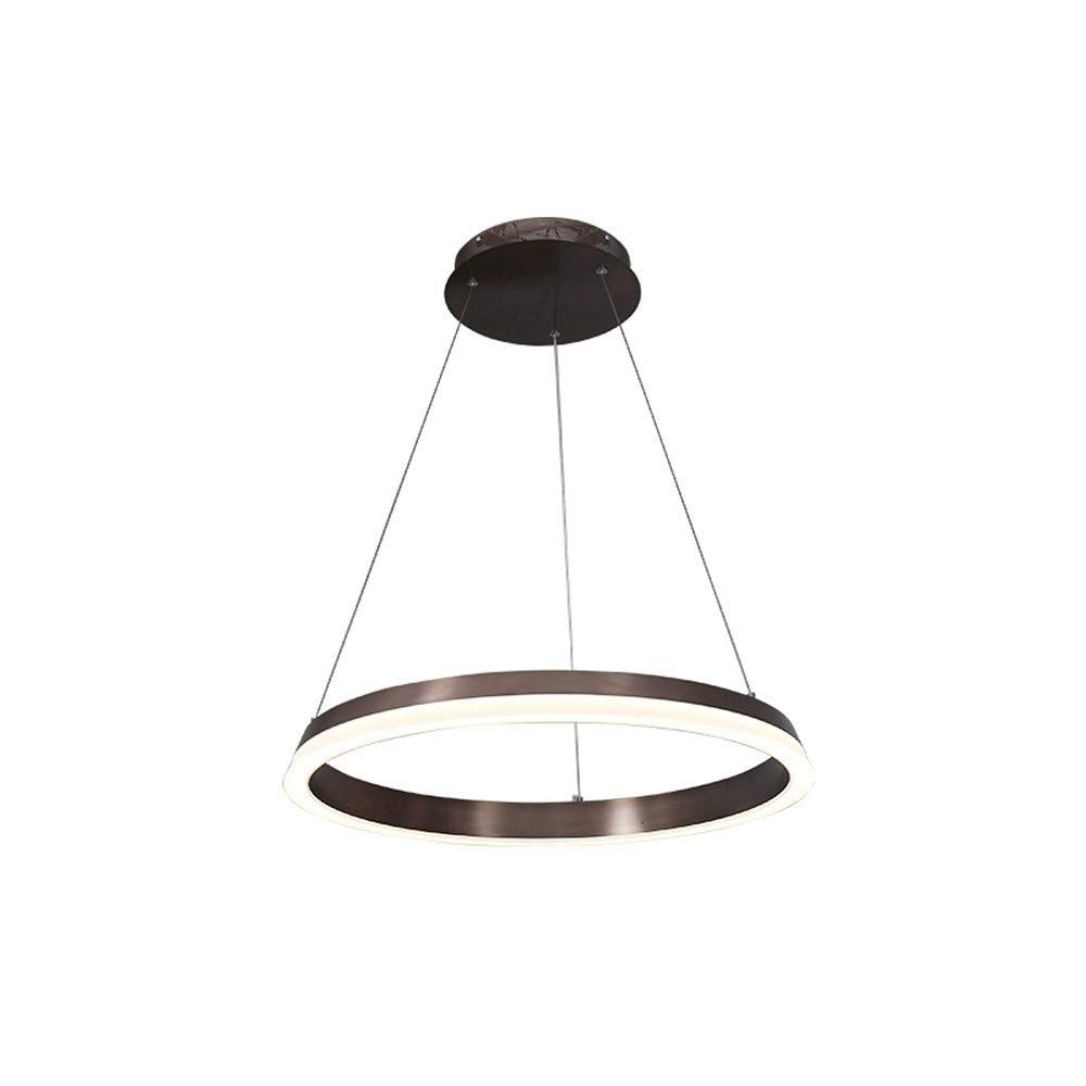 Lustre artistique créatif avec éclairage LED circulaire haut de gamme pour maison