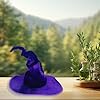 Qianderer Wicked Costumes Adult Crooked Witches Hat Fancy Dress Halloween Accessory,One Size (Purple, One Size) #5