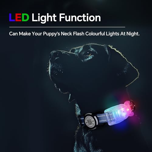 LED-Smart-QR-Code-Dog-Collar-Lost-at-Night-Collar-Showing-Details-of-Owner-and-pet-Durable-Adjustable-Soft-Rose-red-Suitable-for-Small-Medium-and-Large-Dogs