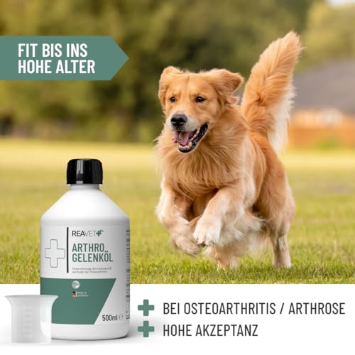 ReaVET Arthro Gelenköl 500ml für Hunde - Zur Unterstützung des Gelenkstoffwechsels bei Osteoarthritis (Arthrose) I Gelenke Hund, Gelenk-Komplex statt Gelenktabletten