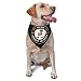 1st Special Forces Group Afghanistan Combat Veteran Triangle Dog Bandana Scarf Accessories for Pet Bibs