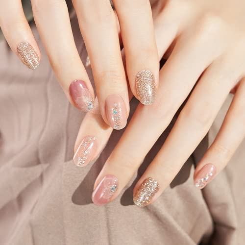 Amazon.co.jp: 【GELATO FACTORY。】ジェラートファクトリー