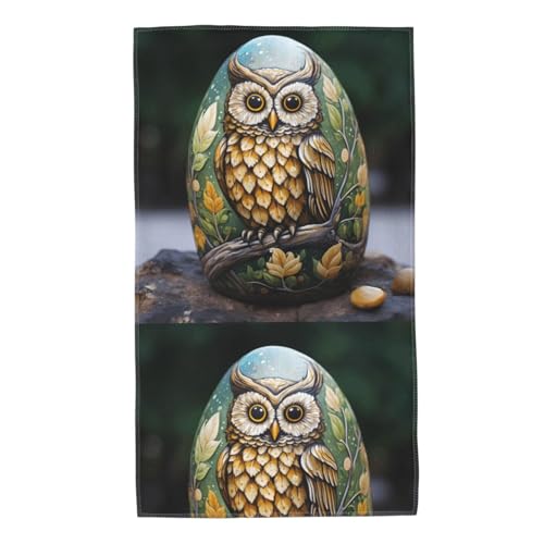 Acbnsll Owl on The Stone Printed Towel Towels 27.5x16in Skin-Friendly Absorbent Fluffy and Soft for