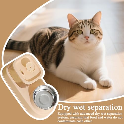 Station d'alimentation pour chats et bowl d'eau grand volume séparation sèche - 3