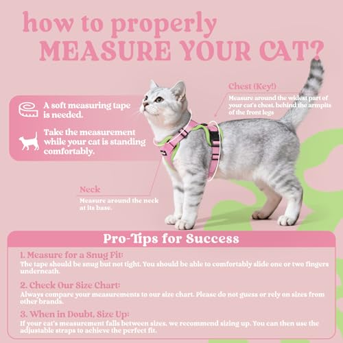 Image of rabbitgoo Cat Harness and Leash Set, Escape Proof Vest, Pink & Light Green | Soft Breathable Mesh, Easy Adjustable Fit, Snap Buckles, Sturdy Clip, Reflective Strips, for Medium to Large Cats Walks, M
