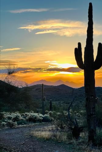 The Treasures in Cactus Hollow (Fantasy Adventures)