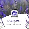 SCENTORINI Car Air Freshener, 2 Fragrance, Linen & Lavender, Vent Clip, New Car Scent for Men & Women, Car Freshener Long Lasting 6 Pack, Total 24ml #2