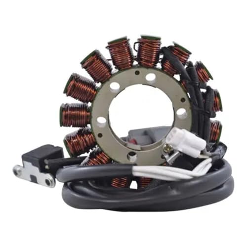 Bobine moto allumage stator de remplacement compatible avec Grizzly 700 magnéto quad 2010 2011 2012