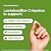 Natural Foundation Supplements Lactobacillus Crispatus Probiotic Supplement 240 Tablets 3 Billion CFU Probiotics for Women Supports Vaginal Digestive & Gut Health (240, Lactobacillus Crispatus)