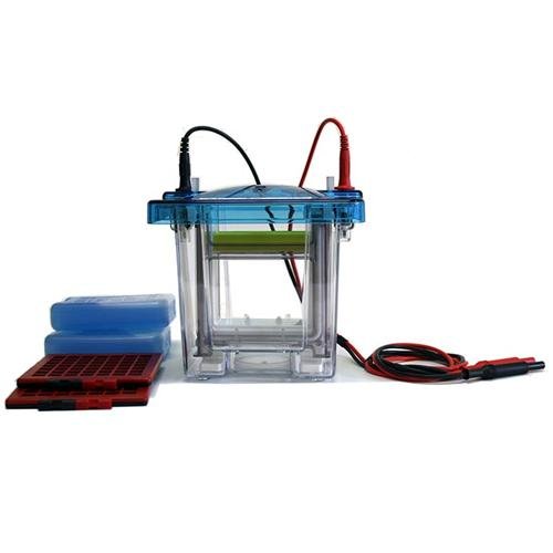 CBS Scientific EBX-SP-700 Additional Sponge Pad for Dual Cool Mini-Vertical Electrophoresis/Blotting System, Yellow (Pack of 4)