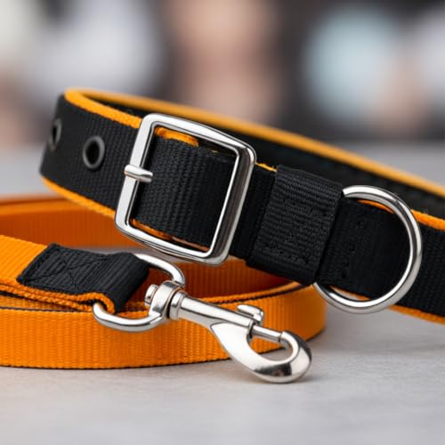 Image of Dog Leash with Padded Handle and Padded Collar Set | Adjustable Nylon Dog Collar & Heavy Duty Leash with Strong Metal Clip | Walking & Training Set for Small Medium Large Dogs