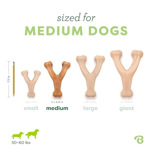 Benebone Wishbone für Hunde mittlerer Hühnergeschmack – Knochenspielzeug für kräftiges Kauen