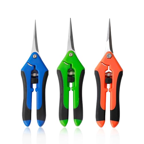 Garden Pruning Scissors - TRACOMPAN 3pcs Professional Pruning Shears with Stainless Steel Blades, Garden Secateurs for Bonsai, Flowers, Grass Edges, Tree & Pot Plant (Green, Orange, Blue)