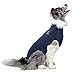 MPS Medical Pet Shirt, Blau, für mittelgroße+ Hunde