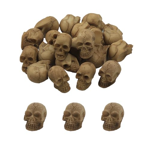 SHIDXIB 20Pcs Mini Skulls Small Skeleton Head Flowerpot Decor Realistic Skull Crafts Halloween Garden Decoration Bonsai Courtyard Ornaments