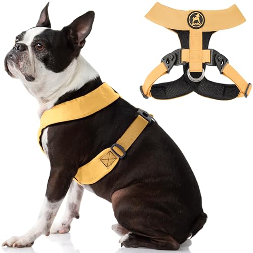 Gooby Comfort X Harness Dual Snap - Yellow Medium - No Pull Small Dog Harness with Rotational Buckles and Patented Choke-Free X Frame - Dog Harness for Medium Dogs No Pull and Small Dogs