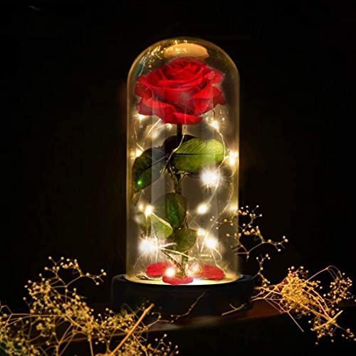 Die Schöne und das Biest Rose Geschenk für sie, ewige Rose im Glas, Beste Rosen Geschenke für Frauen für Valentinstag, Muttertag, Jahrestag, Geburtstag, Weihnachtstag für Mutter, Schwester, Ehefrau Cover
