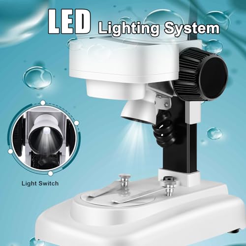 Image of Portable Stereo Microscope - 20x-50x Magnification, Wide Angle Eyepieces, Reversible Black /White Table Plate, for Kids 8-12
