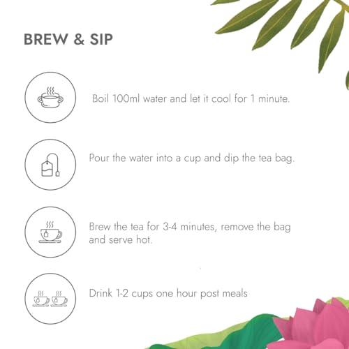 Image of Kapiva Dia Foods Green Tea for Blood Sugar Care | Jamun, Gudmar, Methi, & 10 More