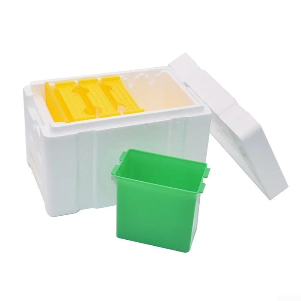 Boîte d'accouplement des abeilles, mini ruche, boîtes à abeilles avec distributeur d'eau, outil d'élevage et de récolte d'abeilles, maison naturelle