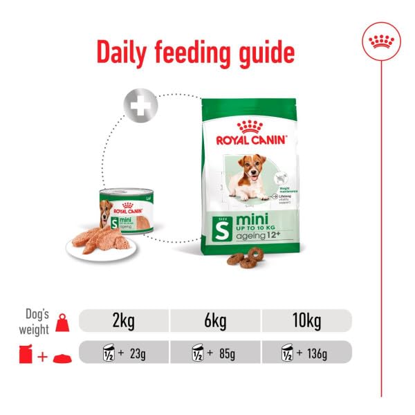 Royal Canin Mini Adult Ageing 12+ | 12 x 195 g | Alimento umido per cani anziani di piccola taglia (da 1 a 10 kg) | A partire da 12 anni di età | Contenuto energetico adattato