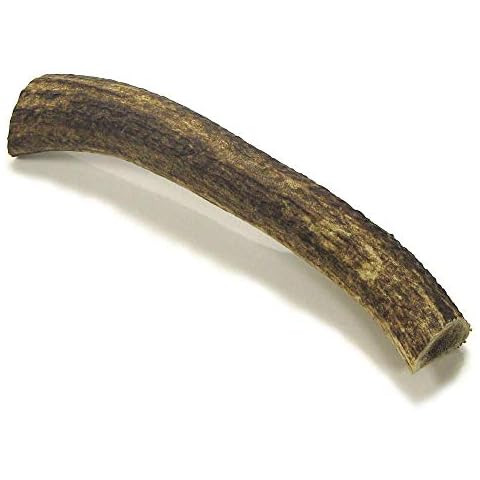 Stag Deer Antler Dog Chew (XXXXL) Cover