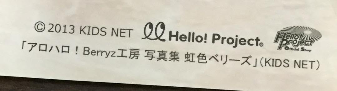 Amazon.co.jp: 徳永千奈美 ポスター「アロハロ！Berryz工房写真集 虹色