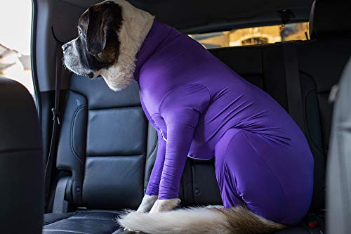 Image of shed Defender Purple pet mini