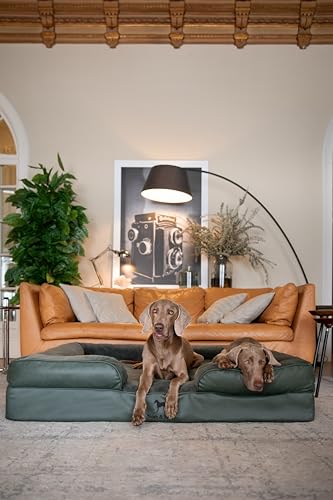 Image of NOAH & PAW Giant Dog Bed XXL, 55x45x11 Inch, Orthopedic Dog Beds, Eggshell Memory Foam Infused with Cooling Gel, Inner Cover, Water Resistant, Machine Washable (Faux Leather)