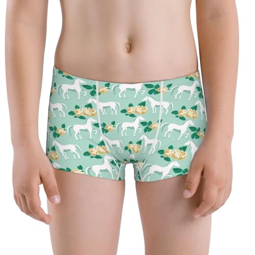 Boys' Cotton Boxer Brief Soft Underwear-Horse And Flower
