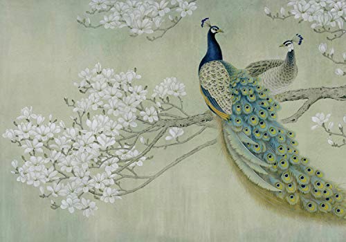 wandmotiv24 Fototapete Pfau Weis Blüten Zweig Betonwand, XL 350 x 245 cm - 7 Teile, Wanddeko, Wandbild, Wandtapete, Vlies-Tapeten, Tiere Vogel Natur Baum Wand M4688 Cover