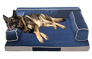 Mellifluous Large Size Dog and Cat Sofa Pet Bed (L, Blue-Cream)