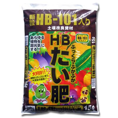 �������Y �g�a-�P�O�P�������� �g�a������ �P�T�k �R��