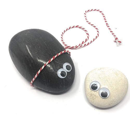 Rock Pet Googly Wiggle Eyes with Deluxe Adoption Kit and Dolly
