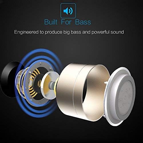 LENRUE Portable Wireless Bluetooth Speaker with Built-in-Mic, Handsfree Call, AUX Line, TF Card for iPhone IPad Android Smartphone and More, Gold A2