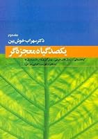 100 Magical Herbs 0968235913 Book Cover