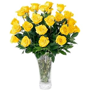 Fresh Cut Long Stem Yellow Roses Bouquet, 2 Dozen Roses, Farmhouse Flowers for Delivery, Birthday Gifts for Women