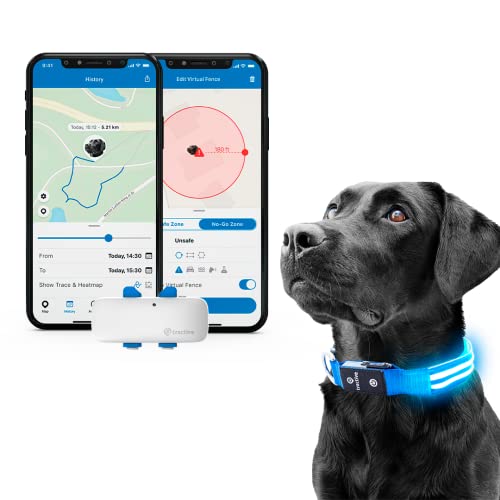 Tractive Gps Pet Tracker With Led Light Up Dog Collar - Waterproof, Gps Location & Smart Activity Tracker, Unlimited Range (Blue, Small) #TOP4