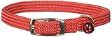 OmniPet 38SNB-RD12 3/8 x 12-Inch Kool Kat Nylon Collar, Red
