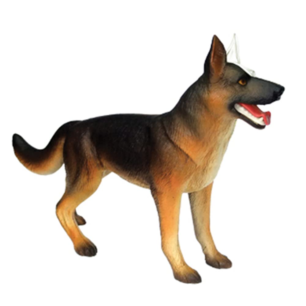 Modelo de AnatomíA de óRganos de Animales Juguete de Ensamblaje de Inteligencia para Perros 4D Modelo de AnatomíA para EnseñAnza Aparatos de Populares DIY