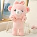 Ankepwj Nette Feifei Bär Plüschtiere Kreative Kuscheltiere Puppe Kawaii Baby Beschwichtigen Bärenkissen Kinder Mädchen Geburtstag Rosa 70cm Rosa 70cm
